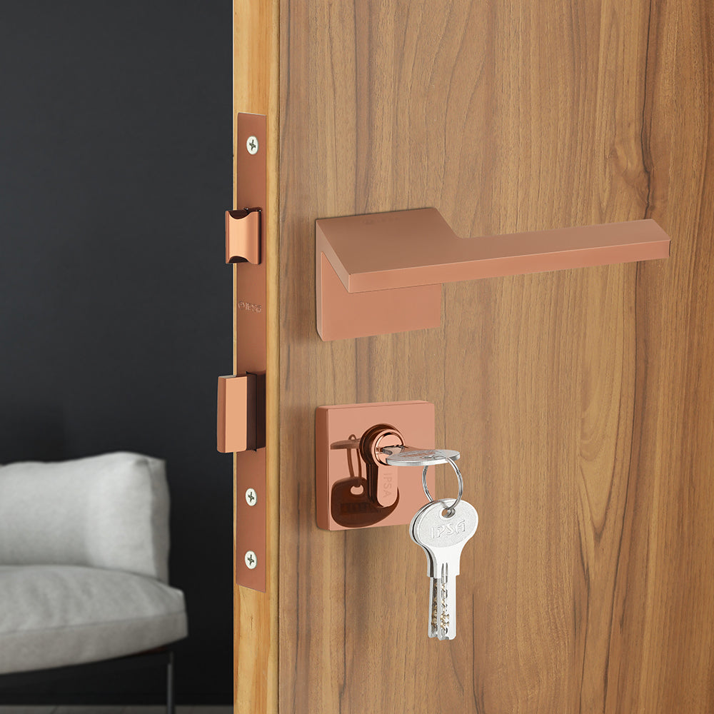 IPSA Ady Lord Series On Rose Door Handle without Lock Body & Cylinder Only Pair Finish: RG